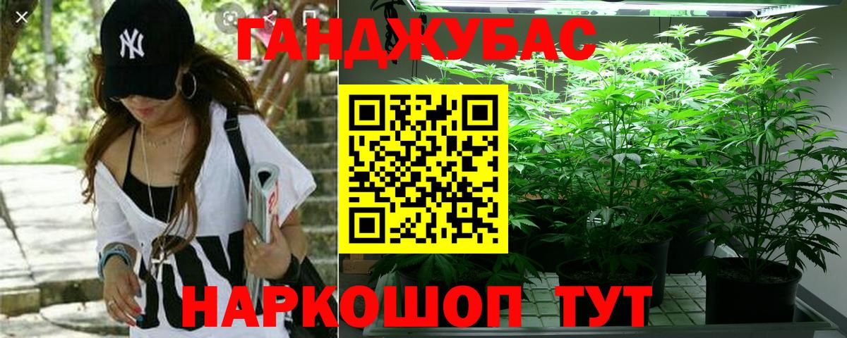 МАРИХУАНА сатива Пугачёв
